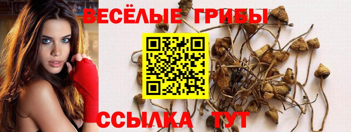 Псилоцибиновые грибы GOLDEN TEACHER  Вход с VPN  Ржев 