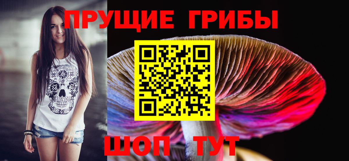 Псилоцибиновые грибы мицелий Ржев